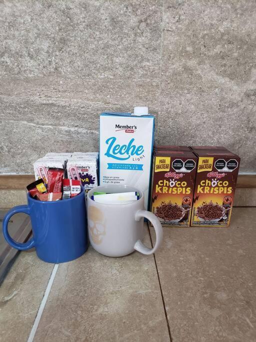 Petit Y Comodo Loft En La Ciudad. مونتيري المظهر الخارجي الصورة