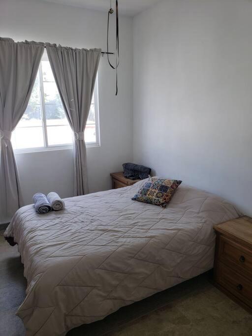 Petit Y Comodo Loft En La Ciudad. مونتيري المظهر الخارجي الصورة